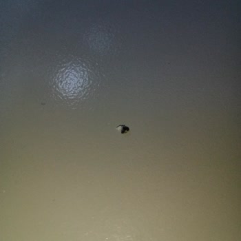 Siparişte Çikolata Barında Taş Benzeri Cisim Keşfedildi