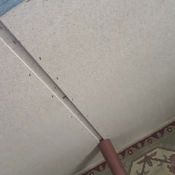 Enza Home Kırılan Kanepe Ayağı İçin Yedek Parça Reddi