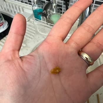 Lezita Kovasındaki Kıl İçeriği Beni Rahatsız Etti Ve İade Talebim