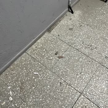 Türk Telekom'un Özensiz Fiber Kurulumu Duvar Hasarı Ve Temizlik Sorununa Neden Oldu