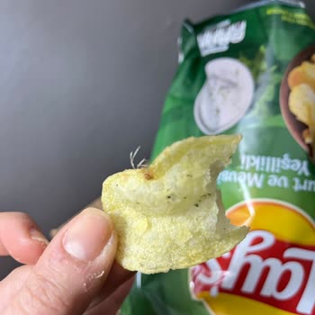 Yabancı Tüy İçeren Cips Paketi Hijyen Sorunu Ve Sağlık Endişesi