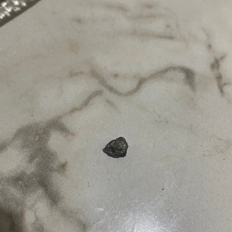 Ülker Kremalı Sandviç Bisküvi İçindeki Sert Parça Diş Kırılmasına Neden Oldu