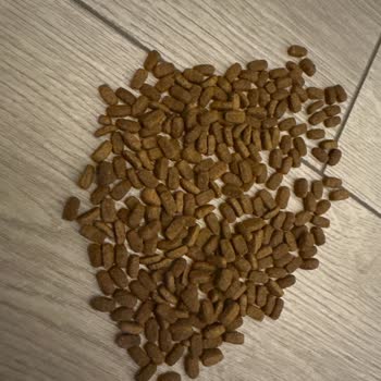 Pet Merkezi Orijinalliği Şüpheli Pro Plan Kedi Maması İadesi Ve Tam Geri Ödeme Talebi