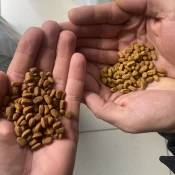 Pet Merkezi Orijinalliği Şüpheli Pro Plan Kedi Maması İadesi Ve Tam Geri Ödeme Talebi