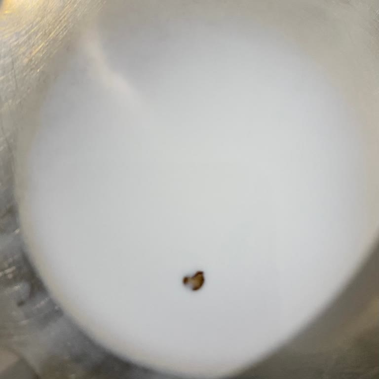 Torku Sütünde Siyah Yabancı Madde Çıkması Ve Güvenlik Endişesi