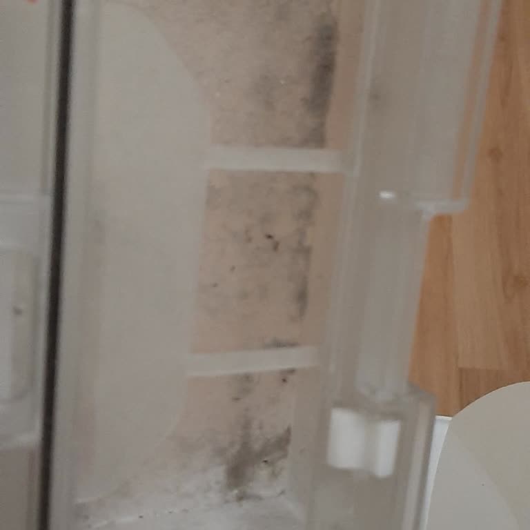 Roborock S8 Sonic Mopping Süpürge Toz Çekişi Sorunu Ve Garanti Talebi