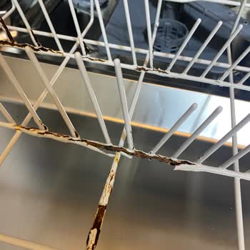 Altus Bulaşık Makinesinin Sepetindeki Küflenmeler Nedeniyle Yeni Ürün Talebi