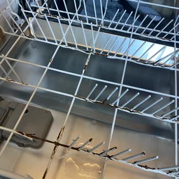 Altus Bulaşık Makinesinin Sepetindeki Küflenmeler Nedeniyle Yeni Ürün Talebi