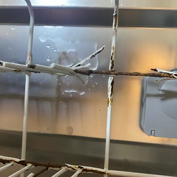 Altus Bulaşık Makinesinin Sepetindeki Küflenmeler Nedeniyle Yeni Ürün Talebi