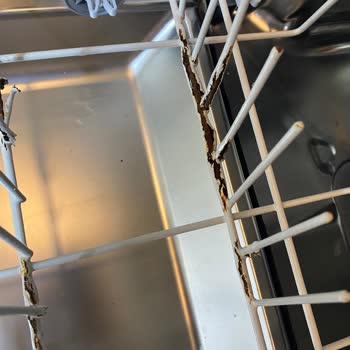 Altus Bulaşık Makinesinin Sepetindeki Küflenmeler Nedeniyle Yeni Ürün Talebi