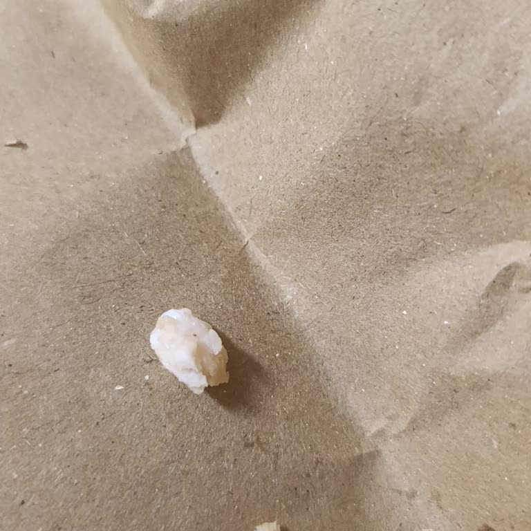 Osmaniye 328 AVM Burger King Şubesinde Gıda Güvenliği Ve Hijyen Sorunları