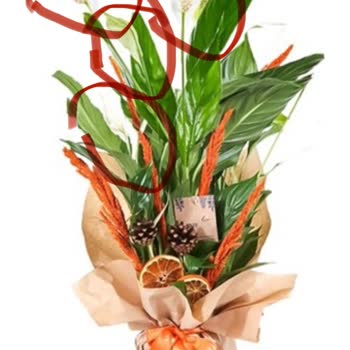 Gönderilen Çiçek Görseliyle Uyuşmuyor Ve Çürük, İade Talebi