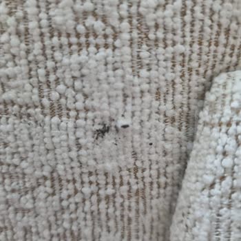 Mondi Home’da Satın Alınan Oturma Grubu Kalitesiz Ve İade Sürecinde Yönlendirme Sorunu