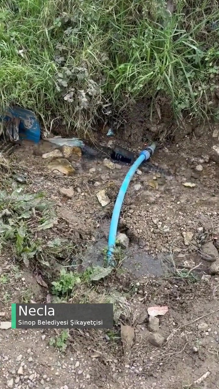 Sinop Merkezde Lağım Deresi videonun kapak resmi