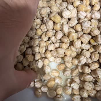 Böcekli Nohut Teslimatı, Gıda Hijyeni İhlali Ve Tam İade Talebi