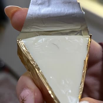 Karper Üçgen Peynirinde Kıl Tespiti Ve Hijyen Şikayeti