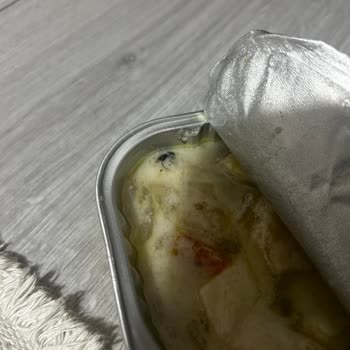 Burcu Zeytinyağlı Enginar Konservesinde Sinek Tespit Edildi