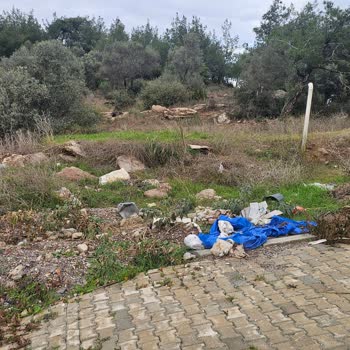 Milas Belediyesi Güllük Mahallesi’nde Başıboş Köpek Ve Domuz Sorunları Çözülmedi