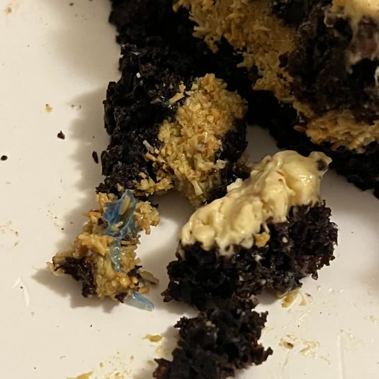 Alisya Pastacılık Dubai Çikolatalı Pastanın İçinden Poşet Çıktı!