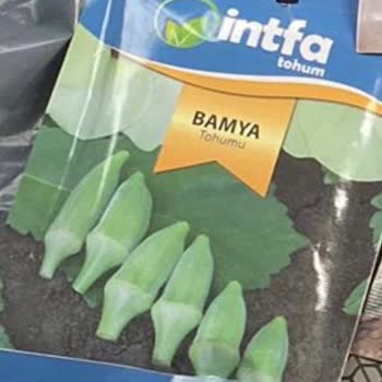 Japon Kısa Bamya Tohumu Görseli İle Gelen Ürün Uyuşmazlığı Ve Salatalık Tohumu Ambalaj Hatası