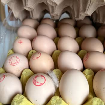 Gıda Ürünlerinde İzlenebilirlik ve Denetim Talebi