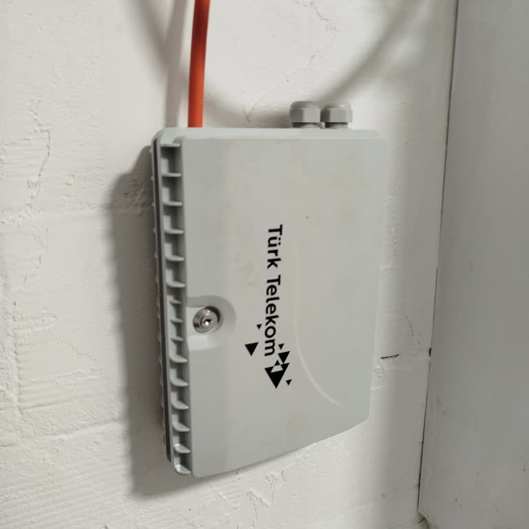 Kutu Aktifleştirilmemesi Ve Sürekli Bekletilme