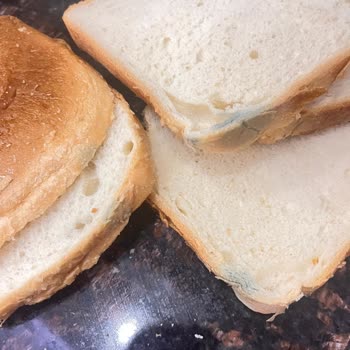 Küflenmiş Tost Ekmeği İçin İade Ve Kontrol Talebi