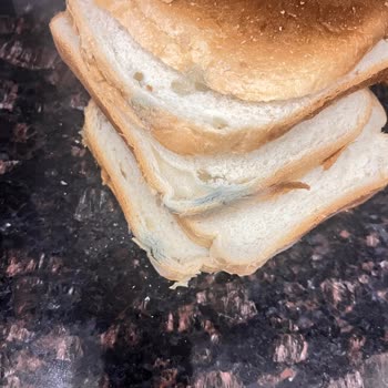 Küflenmiş Tost Ekmeği İçin İade Ve Kontrol Talebi