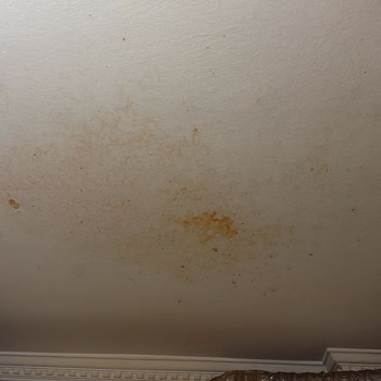 Karaca Düdüklü Patladı!