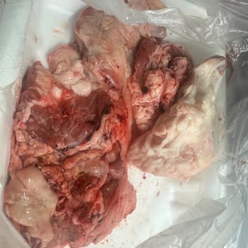 Kuzu Gerdan Etinde Karışık Et Parçaları Ve İade Talebi