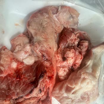 Kuzu Gerdan Etinde Karışık Et Parçaları Ve İade Talebi