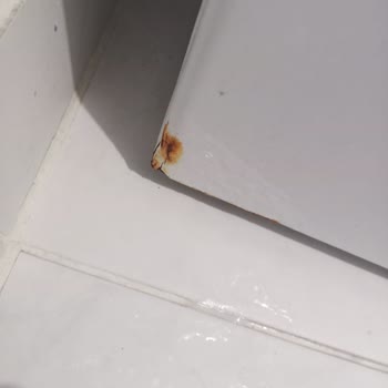 Garanti Süresi İçinde Paslanan Bosch Çamaşır Makinesi İçin Ücretsiz Parça Değişimi Ve Ücret İadesi