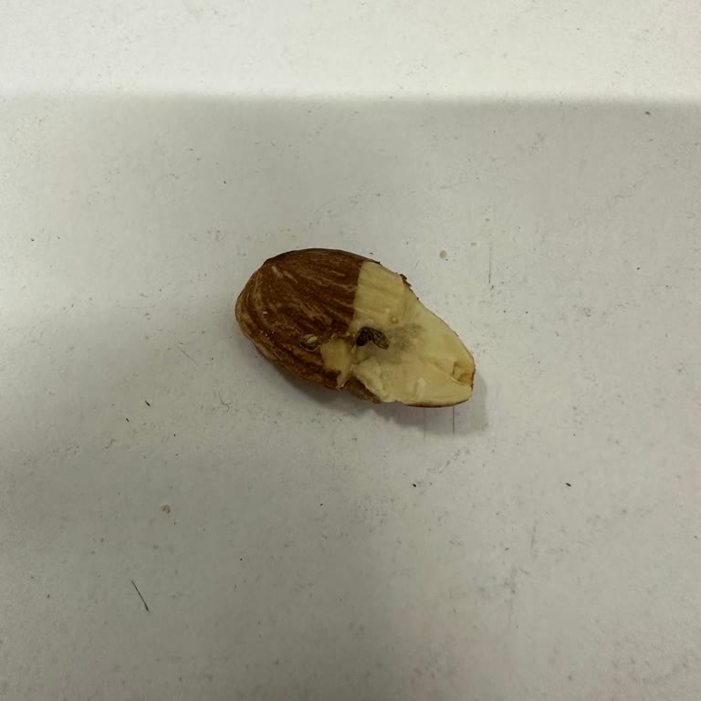 Kuruyemiş Paketi İçinde Solucan Bulunması