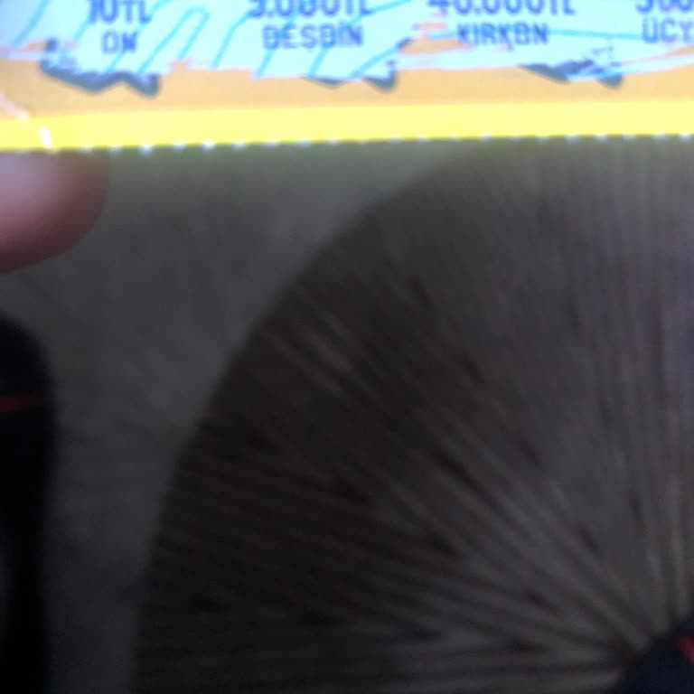 “100’e Katla” Oyununda 100 TL Yerine 10 TL İkramiye