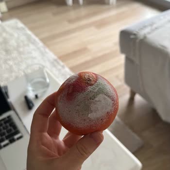 Kan Portakalı Siparişinde Çürük Ürün, Telafi Sözleri Ödeme Bahanesiyle Yarıda Kaldı