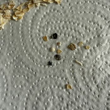 Eti Lifalif İnce Öğütülmüş Yulaf Ezmesi'nde Siyah Yabancı Parçacık: Gıda Güvenliği İhlali