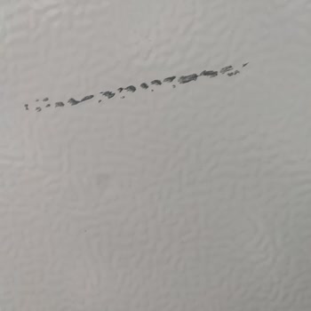 Arçelik Yetkili Servis Çizdi Ve Boyası Döktü Buzdolabımda Garanti Kapsamında Değişim Talebi