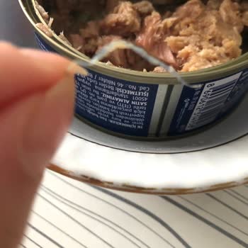 Superfresh Ton Balığından Plastik Parça Çıktı