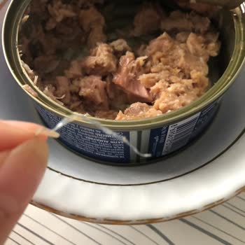 Superfresh Ton Balığından Plastik Parça Çıktı