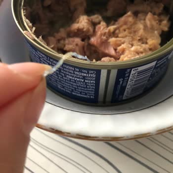 Superfresh Ton Balığından Plastik Parça Çıktı