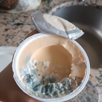 BİM Şubesinden Alınan Krem Peynirde Küf Sorunu Ve Gıda Güvenliği Endişesi