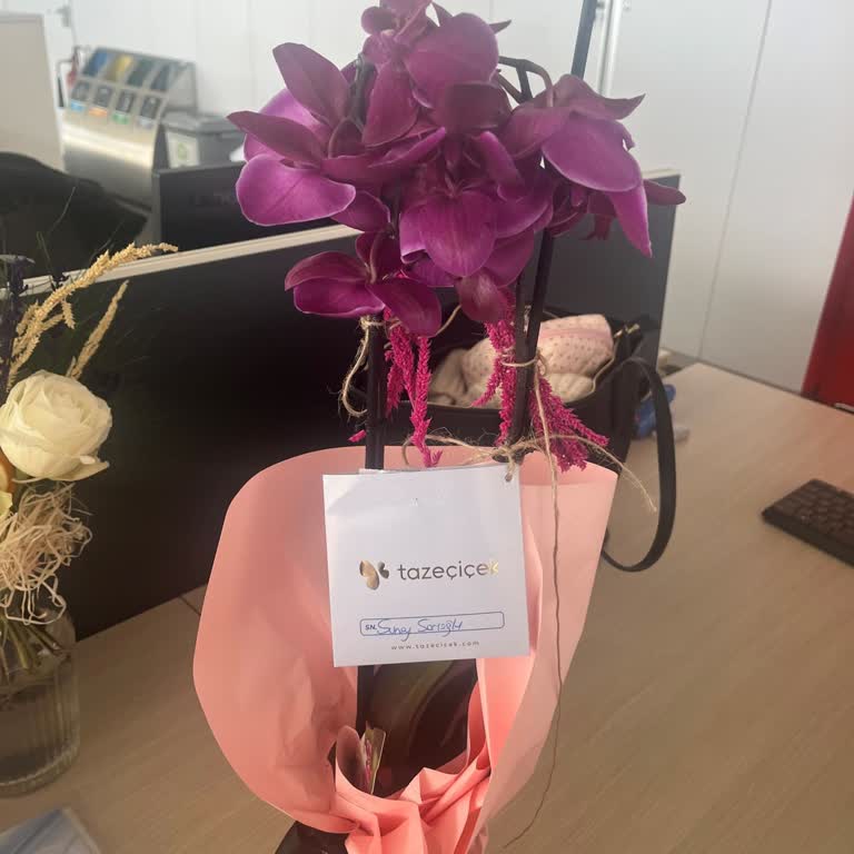 Yüksek Ücretli Solmuş Çiçek Ve Çözüm Sunmayan Müşteri Hizmetleri