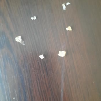 Beyzana Isıya Dayanıklı Çırpıcıda Cam Parçaları Eriyor