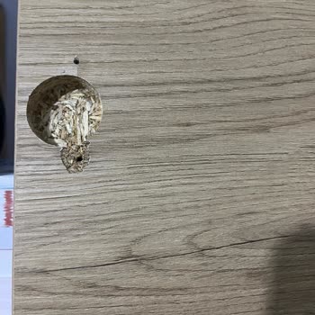 Koçtaş'tan Aldığım Gardırop Hemen Kırıldı, Değişim Ve Kurulum Talebim Cevapsız Kaldı