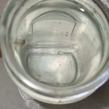 Filtre Değişimi Sonrası Yosunlu Su Ve Servisin Umursamaz Tutumu