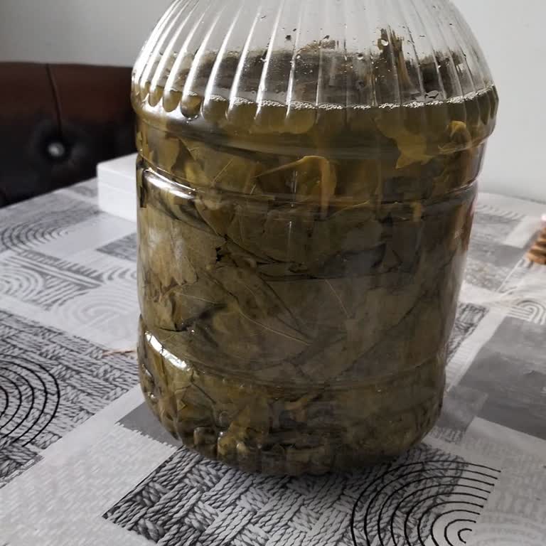 Kalitesiz Salamura Ürünü İçin İade Ve 1.100 TL Geri Ödeme Talebi