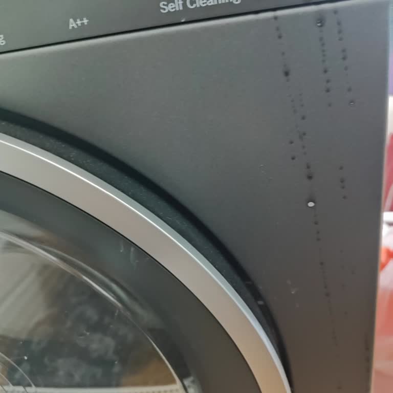 Bosch Kurutma Makinesinde Kısa Sürede Boya Kabarması Ve Garanti Talebinin Reddi