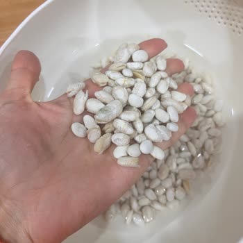 Kuru Fasulye Suya Koyulduğunda Kabukları Soyulup Parçalandı