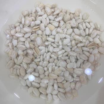 Kuru Fasulye Suya Koyulduğunda Kabukları Soyulup Parçalandı