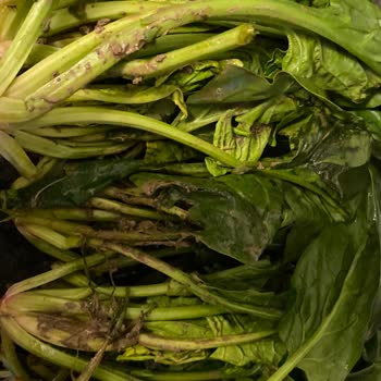 Migros'ta Eksik Sıkma Portakal Ve Çamurlu Ispanak Teslimatı Nedeniyle Yaşadığım Mağduriyet